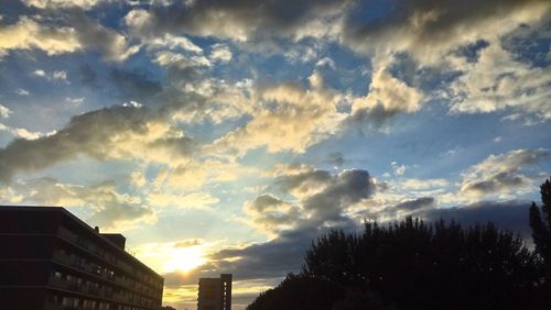 Low angle view of silhouette trees against sky