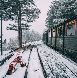 Snow covered railroad tracks by trees during winter