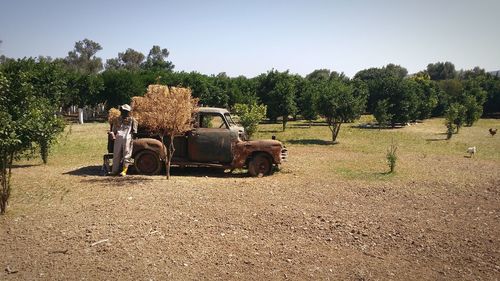 Scarecrow by abandoned car with hay bales on field