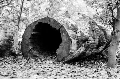 Arch bridge in tunnel