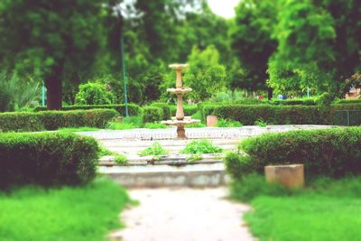 View of cemetery against trees in garden