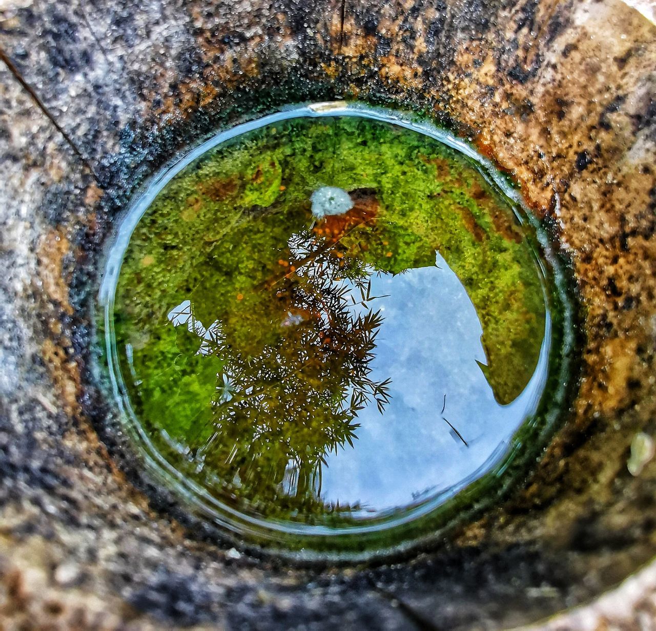 HIGH ANGLE VIEW OF PLANTS BY LAKE