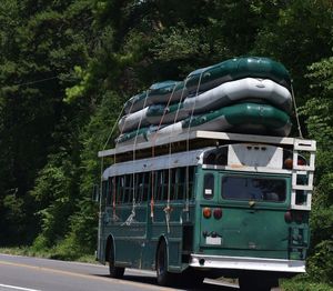 View of truck on road amidst trees