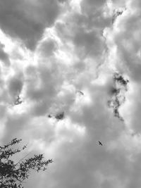 Low angle view of birds flying in sky