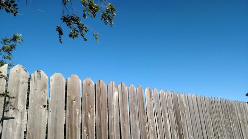Low angle view of tree against clear blue sky
