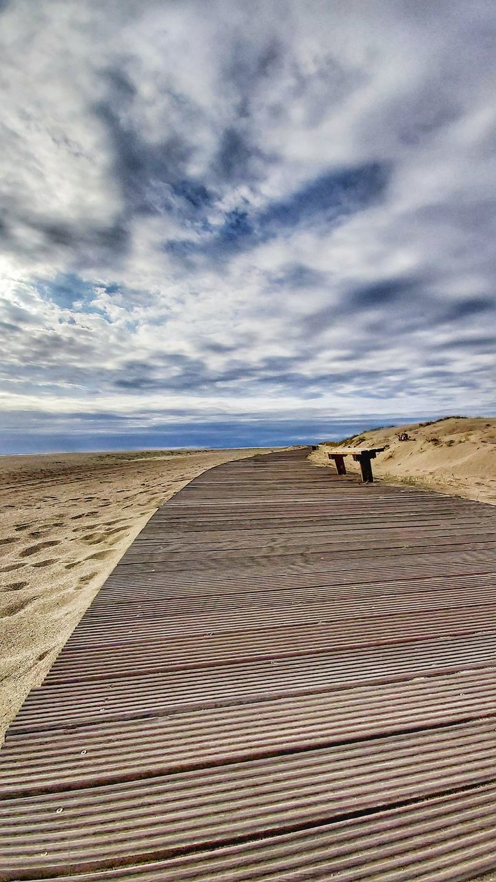 VIEW OF HORSE ON SAND