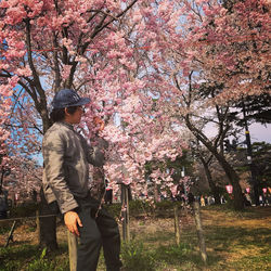 Side view of woman standing by cherry blossom tree