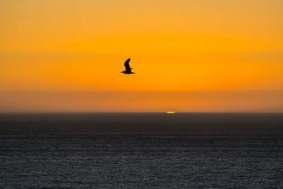 Silhouette bird flying over sea against sky during sunset