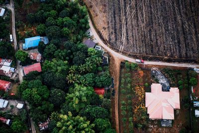Built structure with trees in background