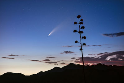 Comet neowise streaks across the night sky above the tonto national forest near of phoenix, arizona.