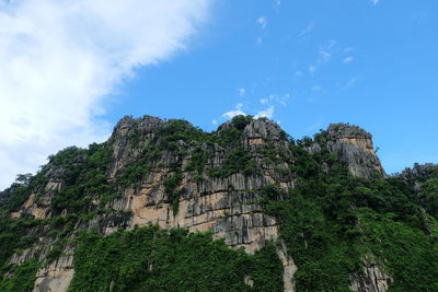 Trees on cliff against sky