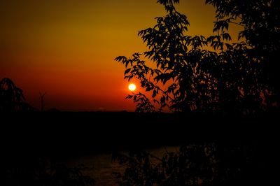 Silhouette tree against orange sky