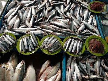 High angle view of fish for sale at market