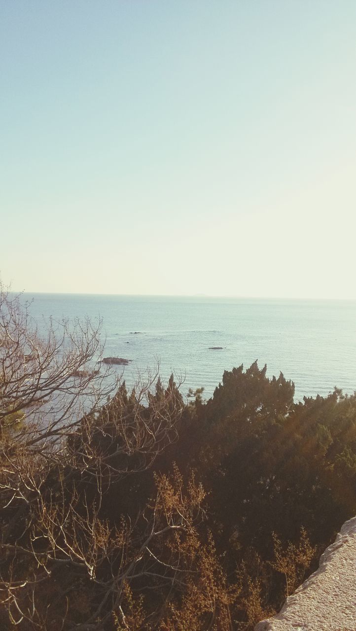 horizon over water, sea, clear sky, water, copy space, beach, tranquil scene, tranquility, scenics, shore, beauty in nature, nature, sand, idyllic, sky, remote, blue, coastline, day, outdoors