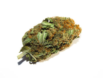 High angle view of vegetables against white background