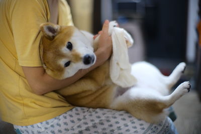 Midsection of person holding dog sitting at home