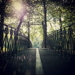 Road passing through forest