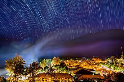 Scenic view of illuminated trees against sky at night