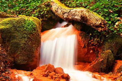 Scenic view of waterfall in forest. water have got a orange colour