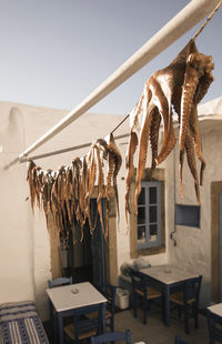 Close-up of octopus hanging on clothesline against clear sky