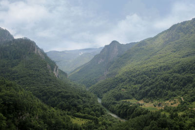 The tara river canyon , montenegro.