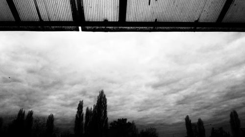 Low angle view of trees against sky