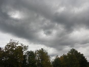 Low angle view of trees against cloudy sky