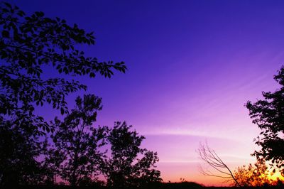 Low angle view of silhouette trees against sky at sunset