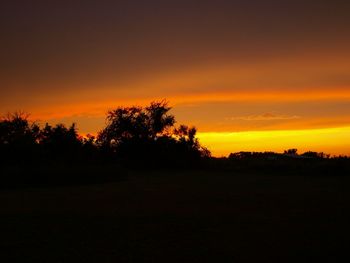 Silhouette of trees at sunset