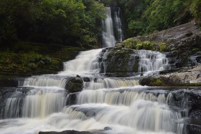 Scenic view of waterfall in forest