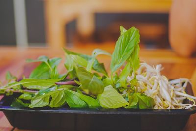 Close-up of vegetables in bowl