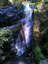 View of waterfall in forest