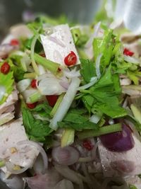 Close-up of salad in plate