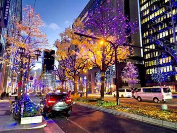 Cars on illuminated street in city