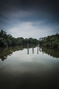 Reflection of trees in calm lake