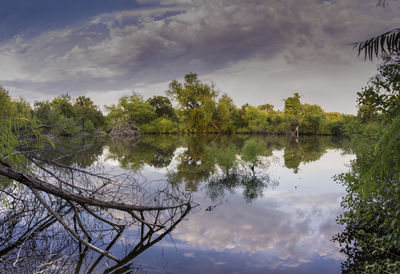 Reflection of trees in lake against sky