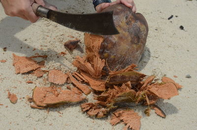 Close-up of cropped hand