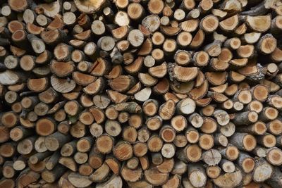 Full frame shot of wooden logs in forest