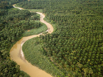 High angle view of agricultural field