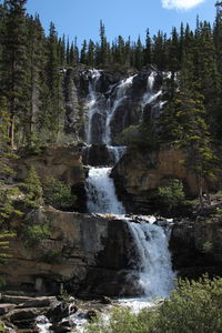 Low angle view of waterfall in forest