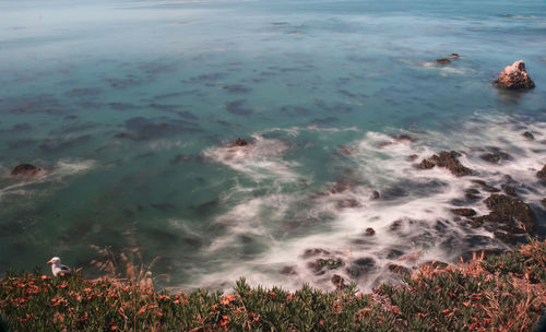 High angle view of beach