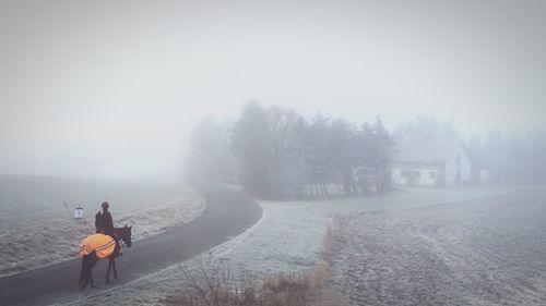 Person riding on horseback through foggy country road