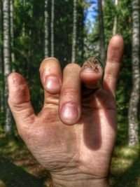 Close-up of hand holding tree trunk