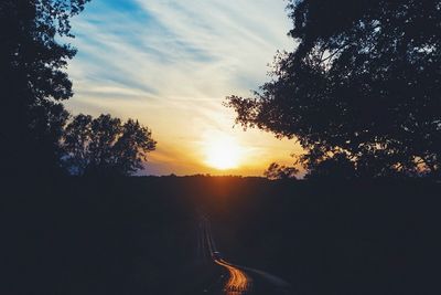 Sun shining through trees