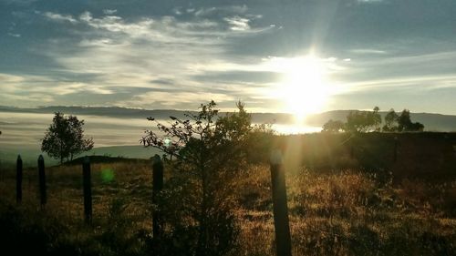 Scenic view of field against sky during sunset