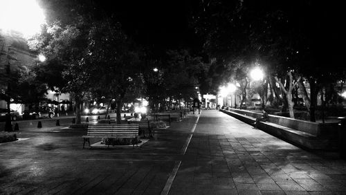 Walkway along trees at night