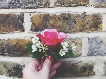 Close-up of hand holding flowers