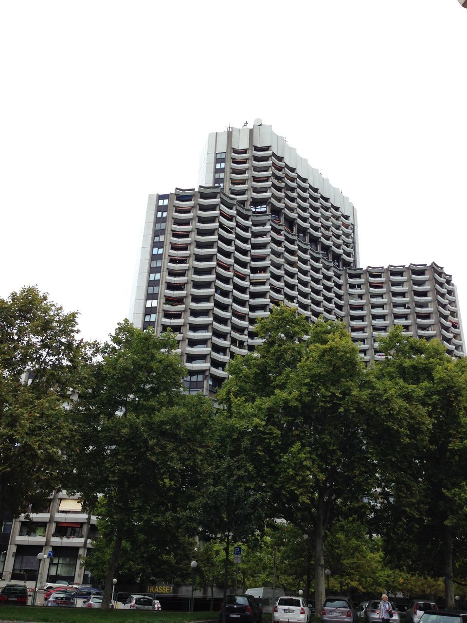 LOW ANGLE VIEW OF TREES AND BUILDINGS AGAINST SKY