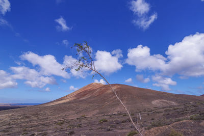 Scenic view of arid landscape against sky