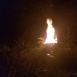 Close-up of bonfire in field at night